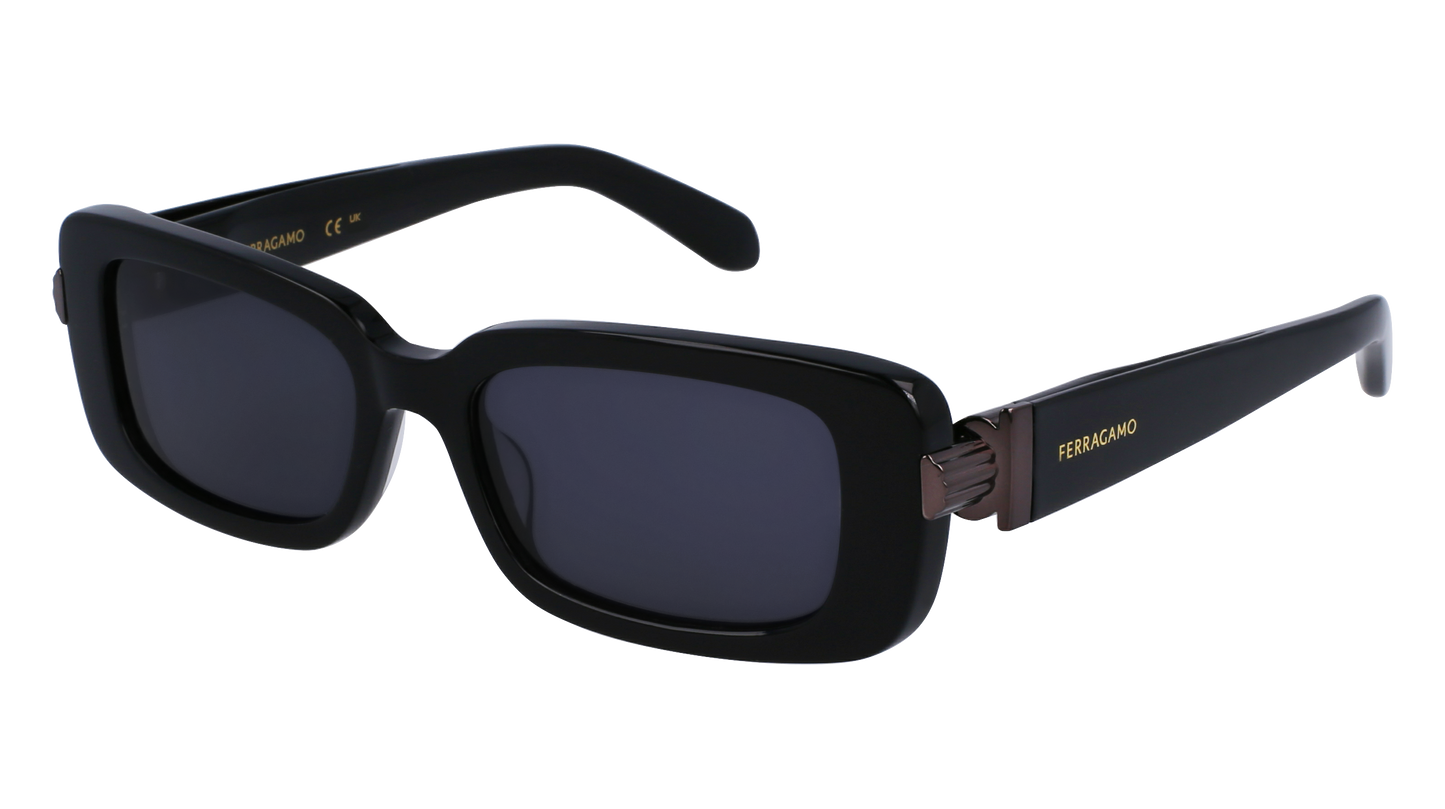 FERRAGAMO Sunglasses SF1105S 1 52