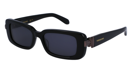 FERRAGAMO Sunglasses SF1105S 1 52