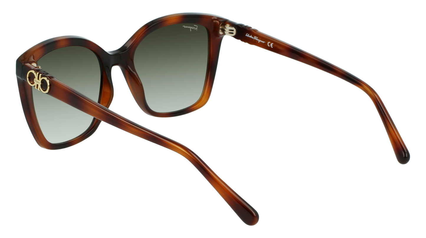 FERRAGAMO Sunglasses SF1026S 214 54