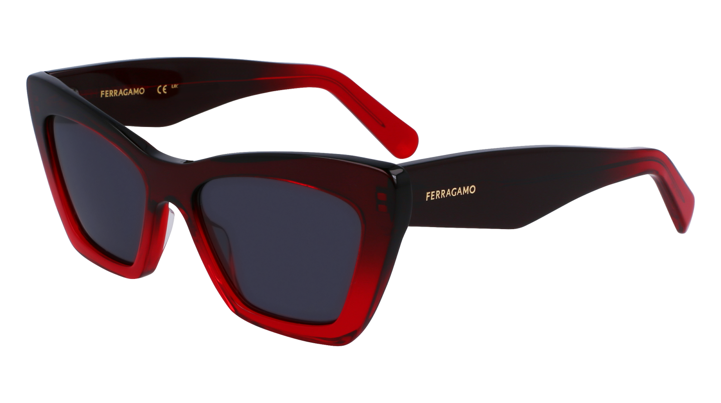 FERRAGAMO Sunglasses SF929SN 615 55