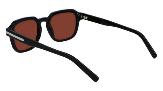 FERRAGAMO Sunglasses SF1089SN 1 52