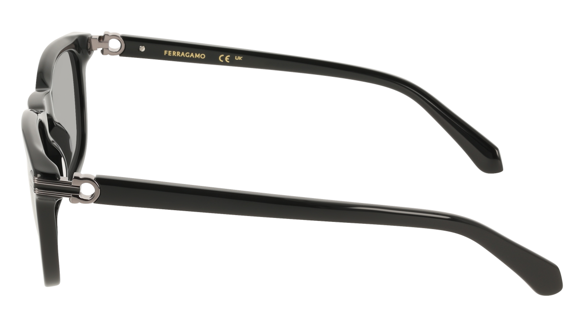 Ferragamo SF2120S 1