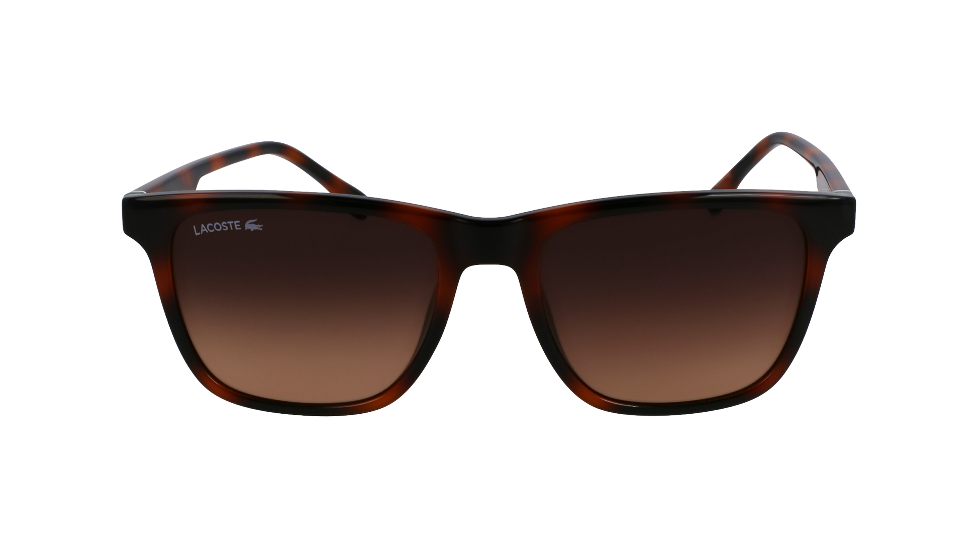 LACOSTE Sunglasses L6041S 214 54