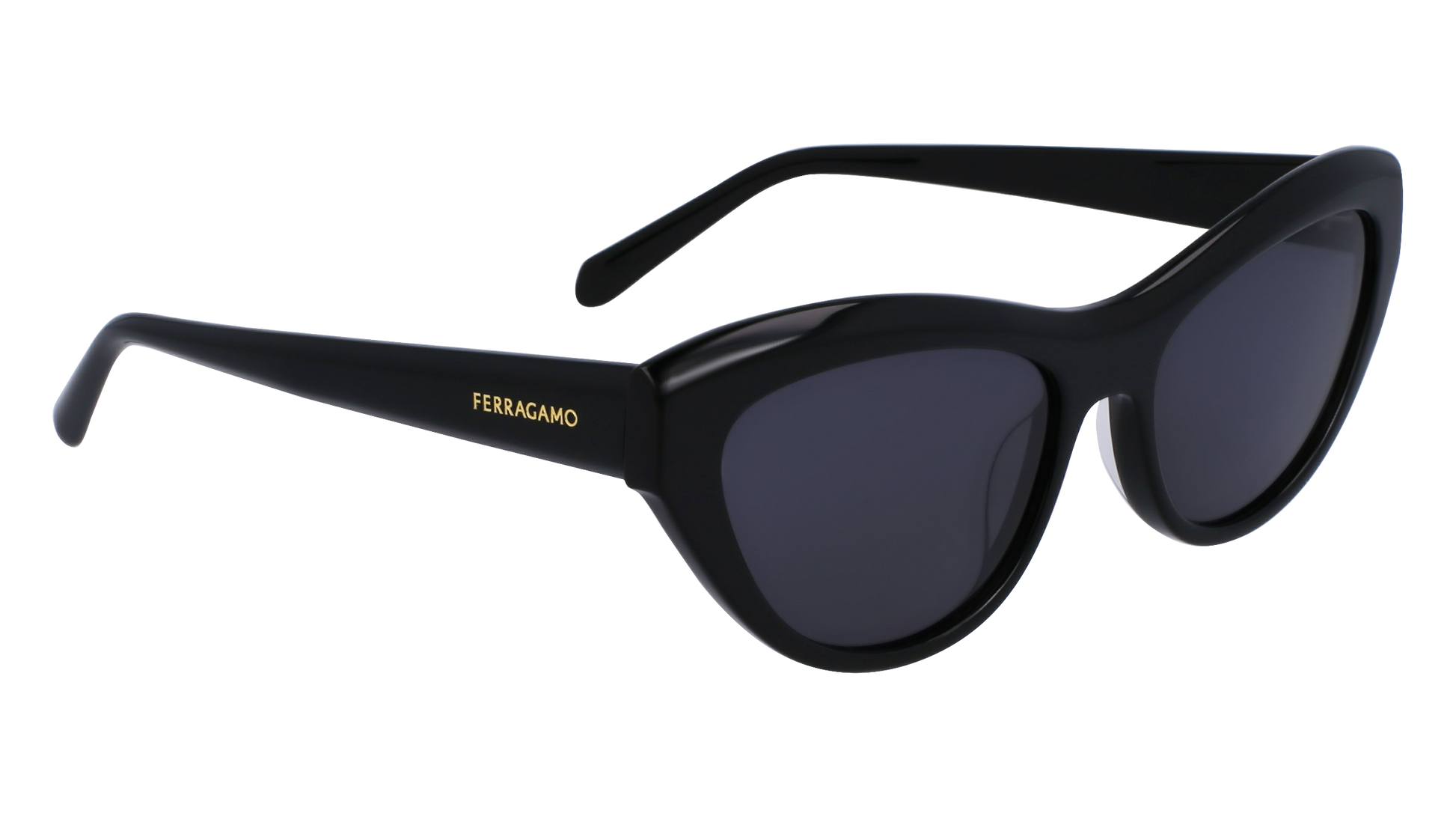FERRAGAMO Sunglasses SF1103S 1 55