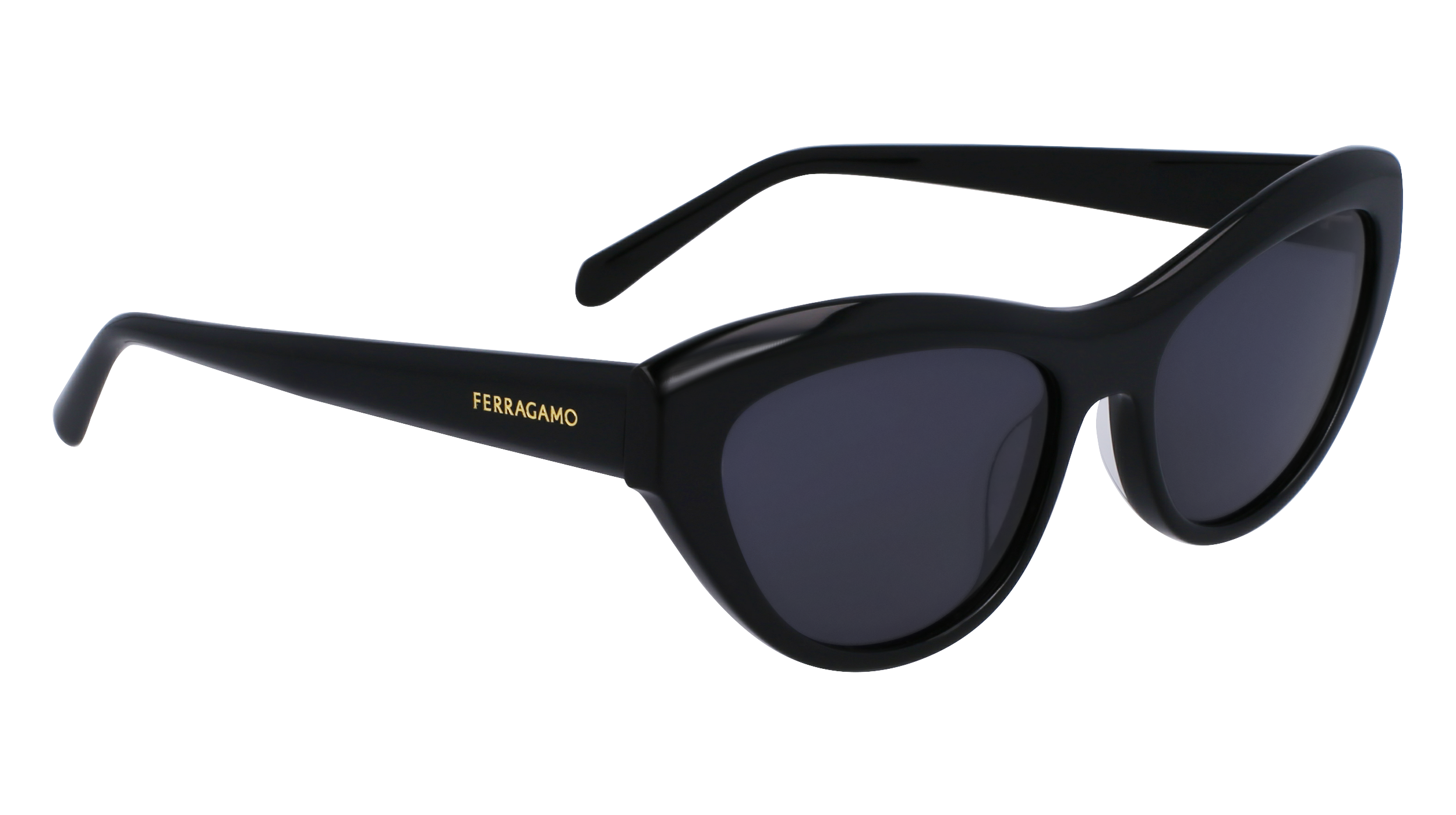 FERRAGAMO Sunglasses SF1103S 1 55