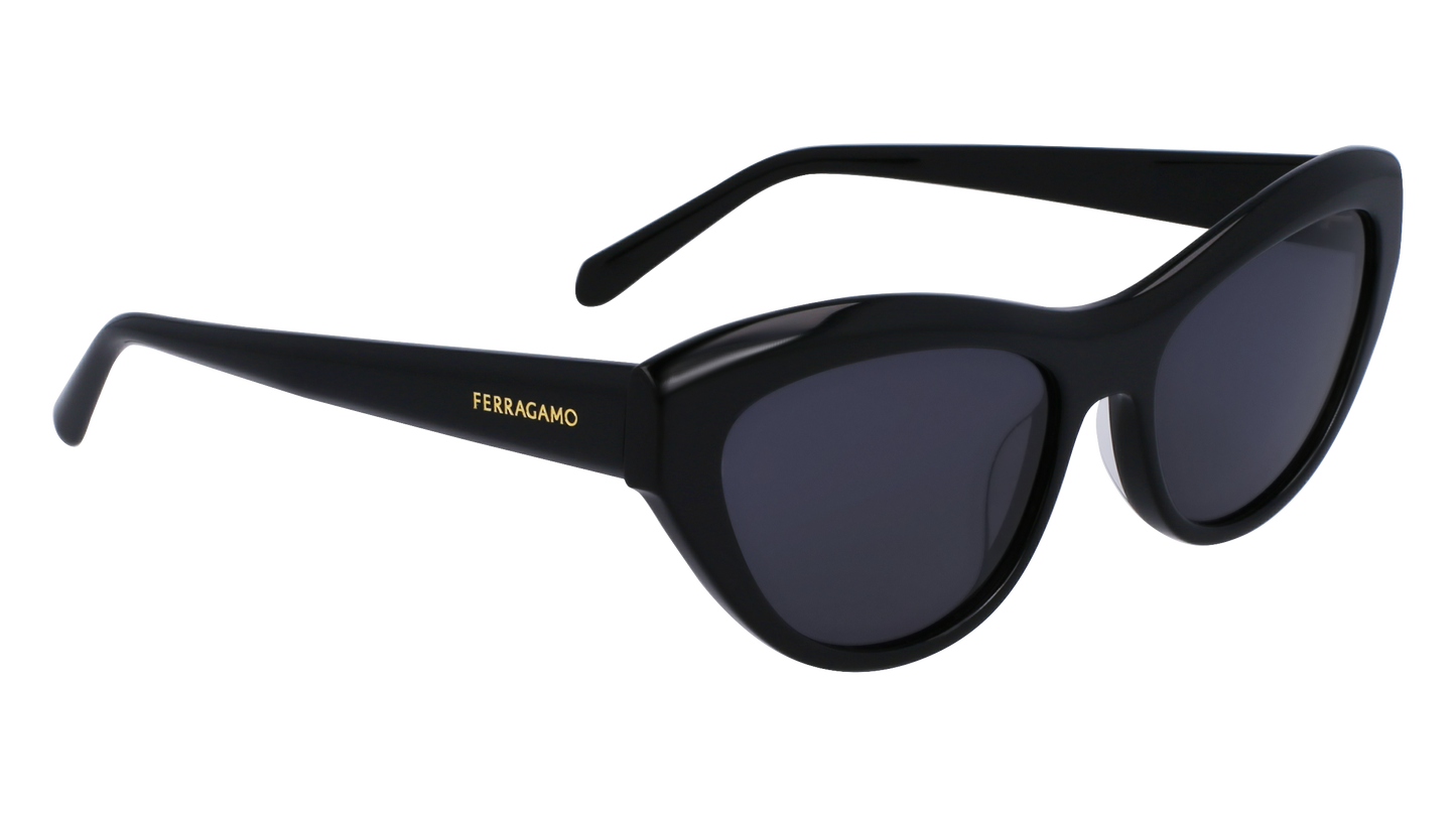 FERRAGAMO Sunglasses SF1103S 1 55