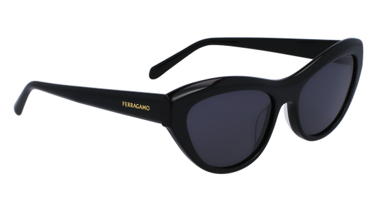 FERRAGAMO Sunglasses SF1103S 1 55