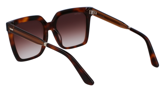 CALVIN KLEIN Sunglasses CK22534S 220 55