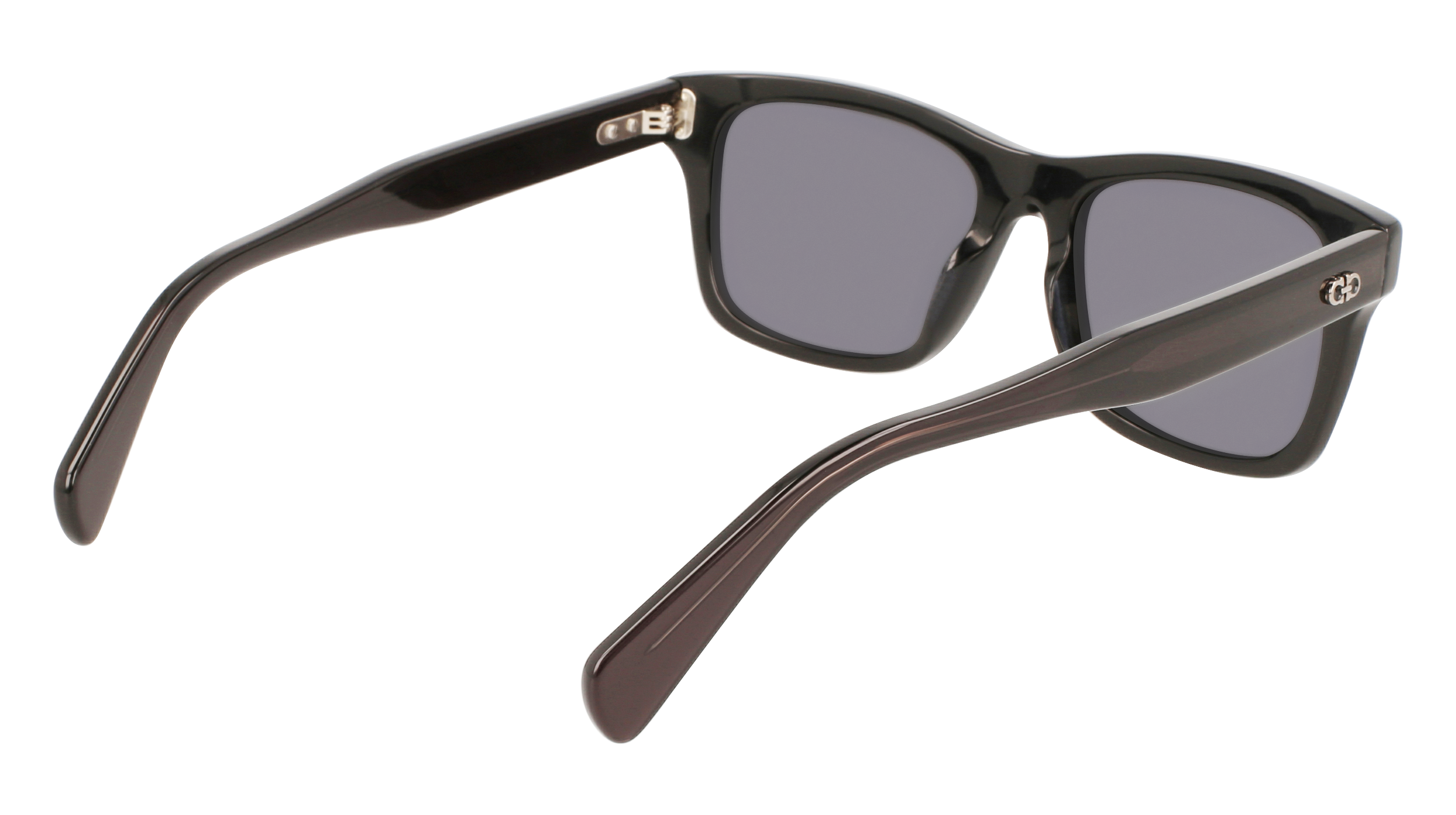 FERRAGAMO Sunglasses SF1039S 1 54