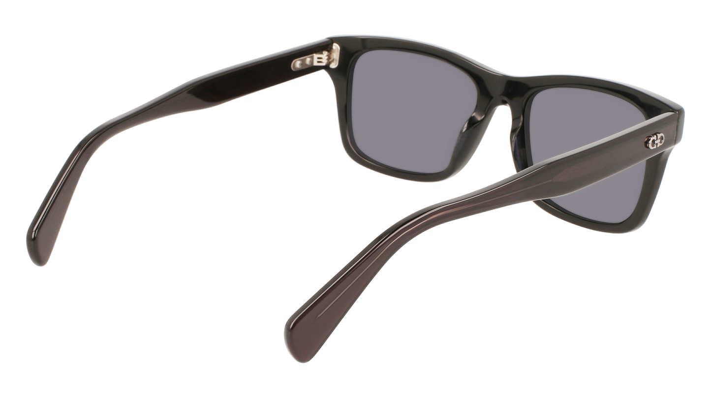 FERRAGAMO Sunglasses SF1039S 1 54