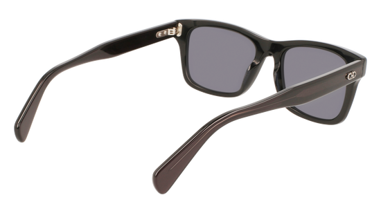 FERRAGAMO Sunglasses SF1039S 1 54