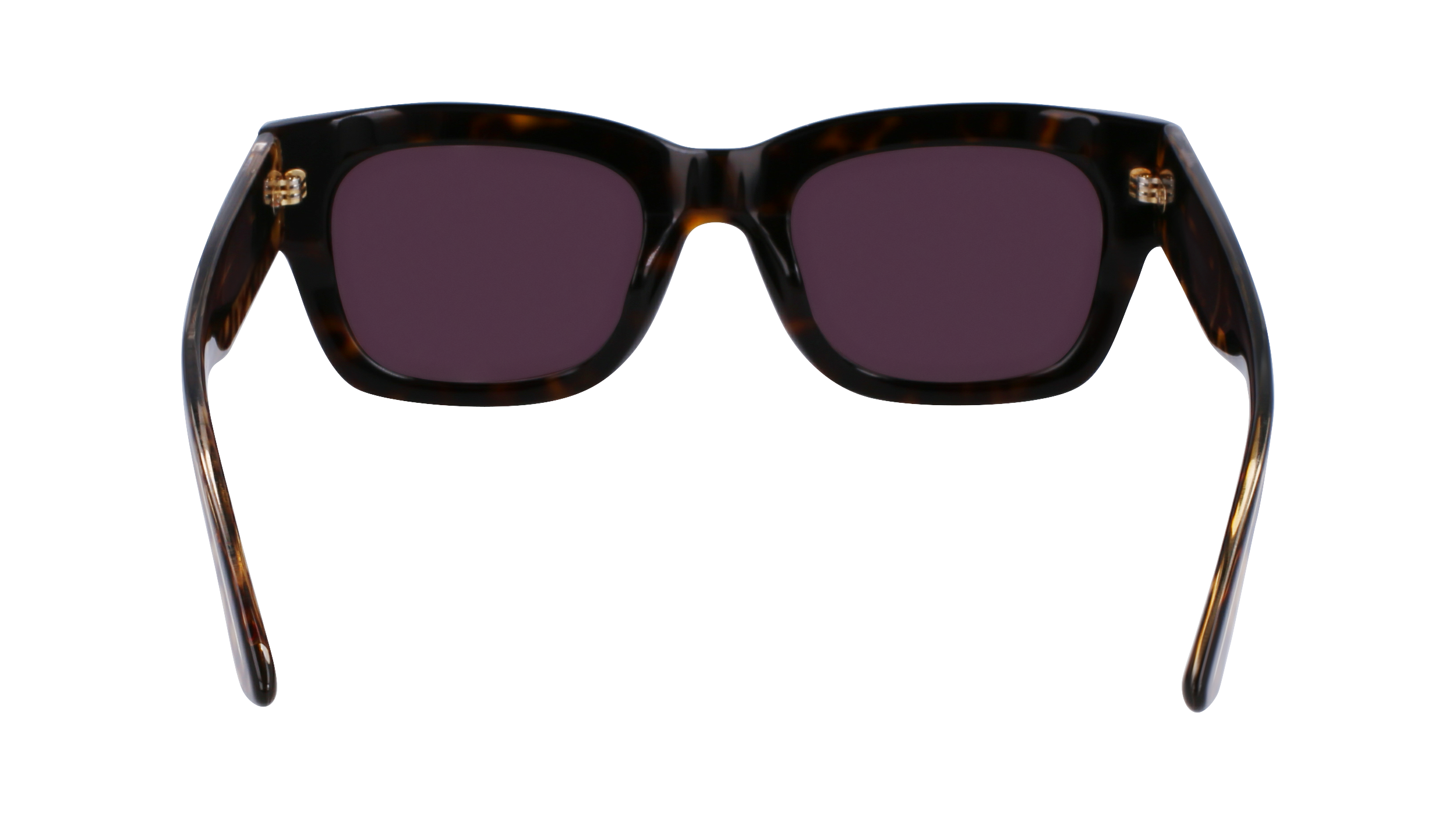 CALVIN KLEIN Sunglasses CK23509S 220 51