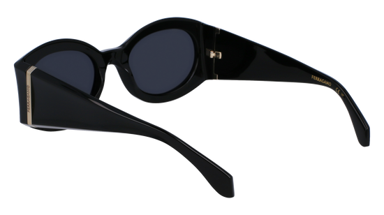 FERRAGAMO Sunglasses SF2008S 1 55