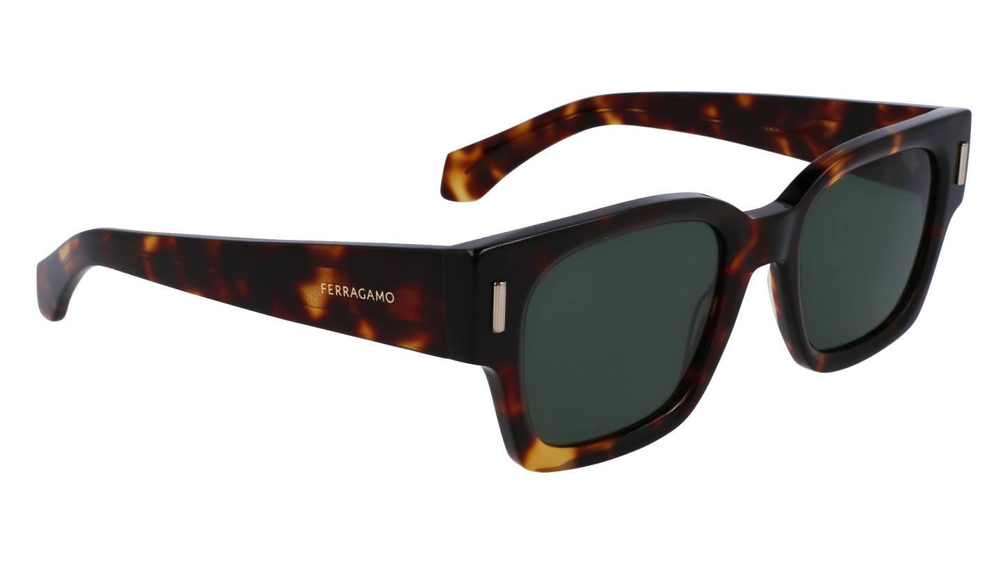 FERRAGAMO Sunglasses SF2010S 242 52