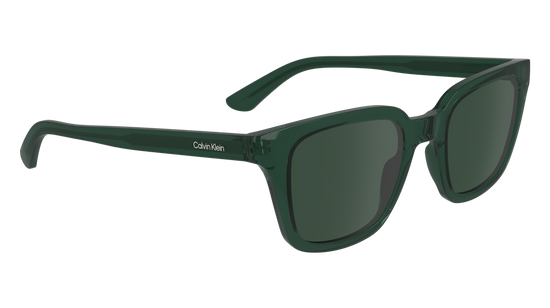 CALVIN KLEIN Sunglasses CK24506S 300 49