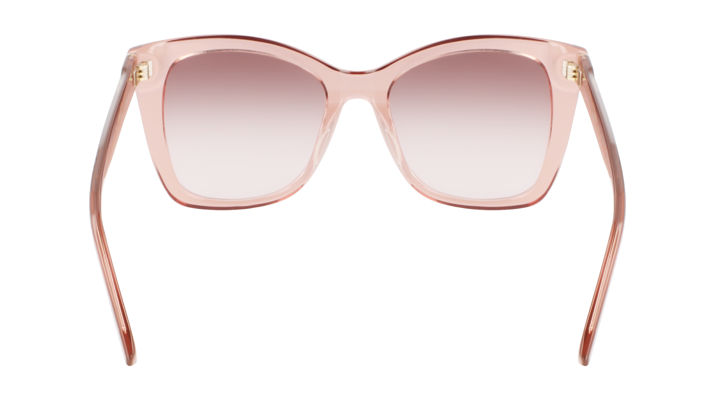 CALVIN KLEIN Sunglasses CK22530S 601 53