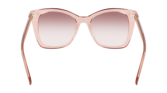 CALVIN KLEIN Sunglasses CK22530S 601 53