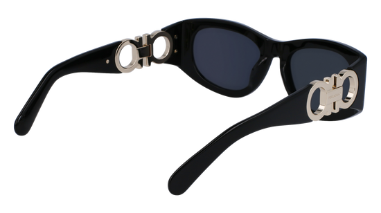 FERRAGAMO Sunglasses SF1082SN 1 53