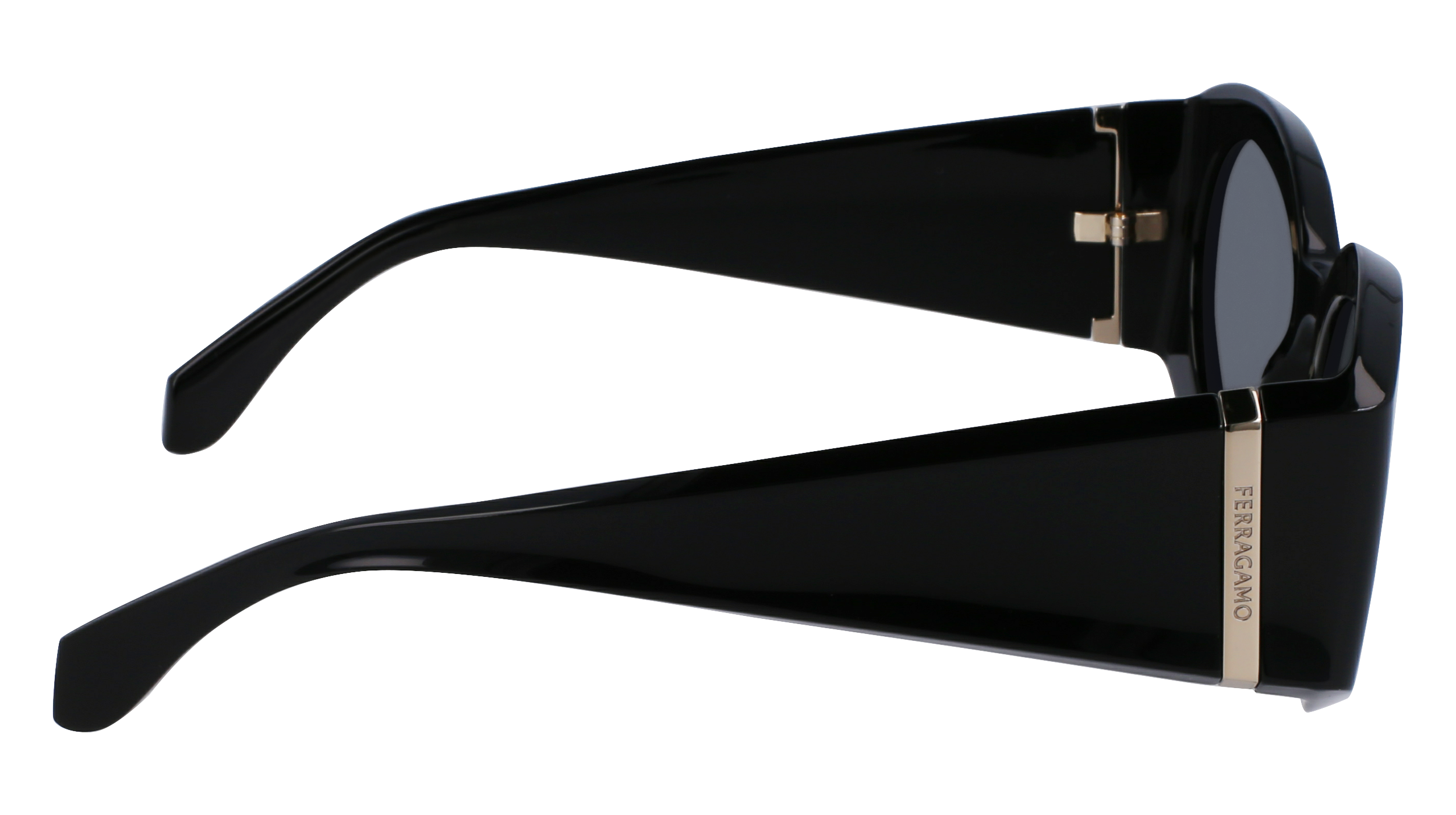FERRAGAMO Sunglasses SF2008S 1 55