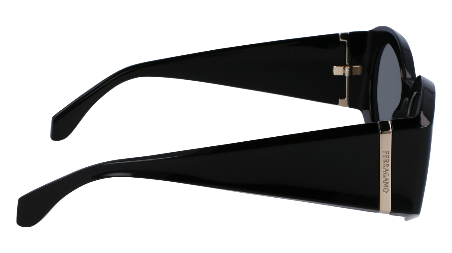 FERRAGAMO Sunglasses SF2008S 1 55