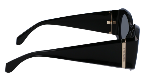 FERRAGAMO Sunglasses SF2008S 1 55