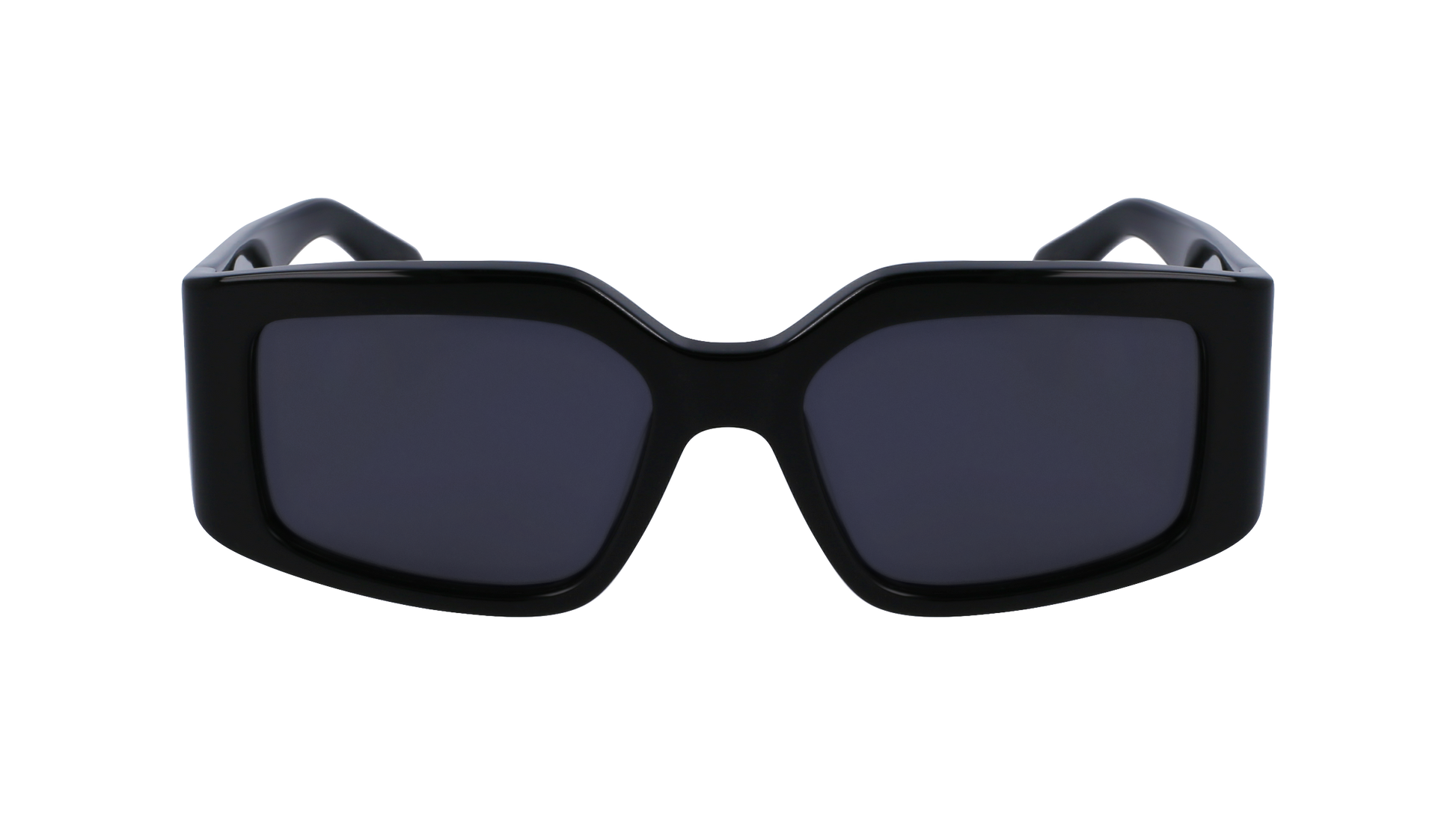 FERRAGAMO Sunglasses SF1101S 1 54