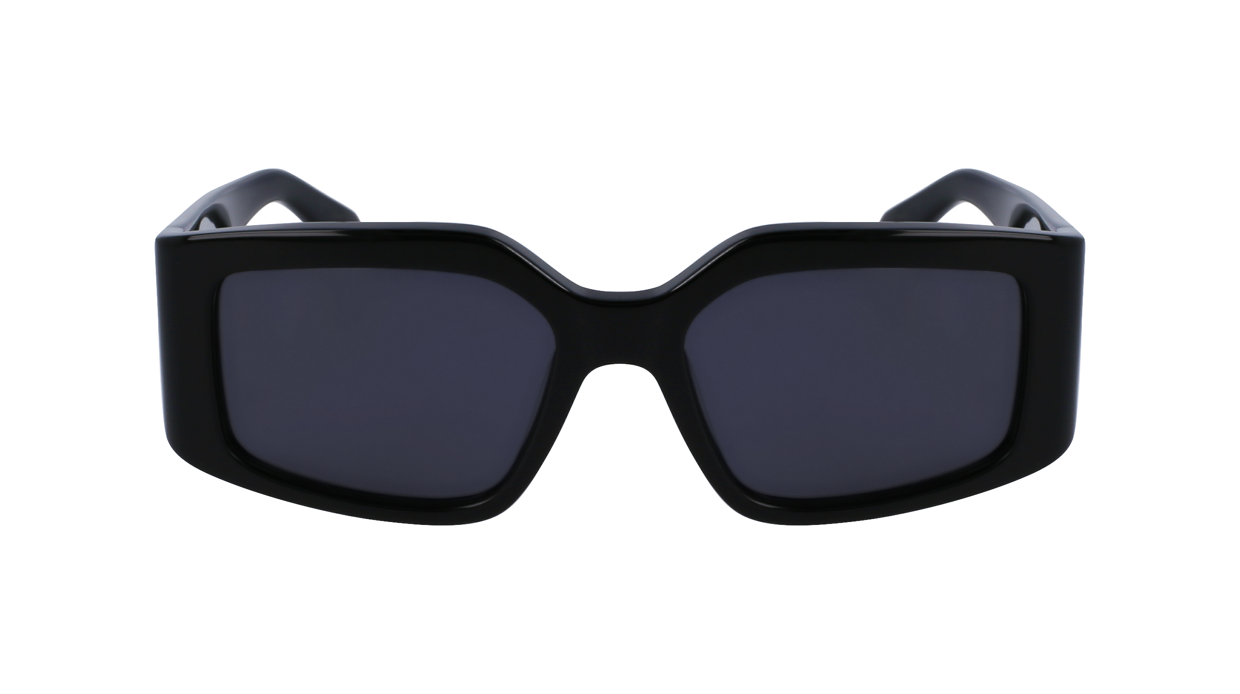 FERRAGAMO Sunglasses SF1101S 1 54