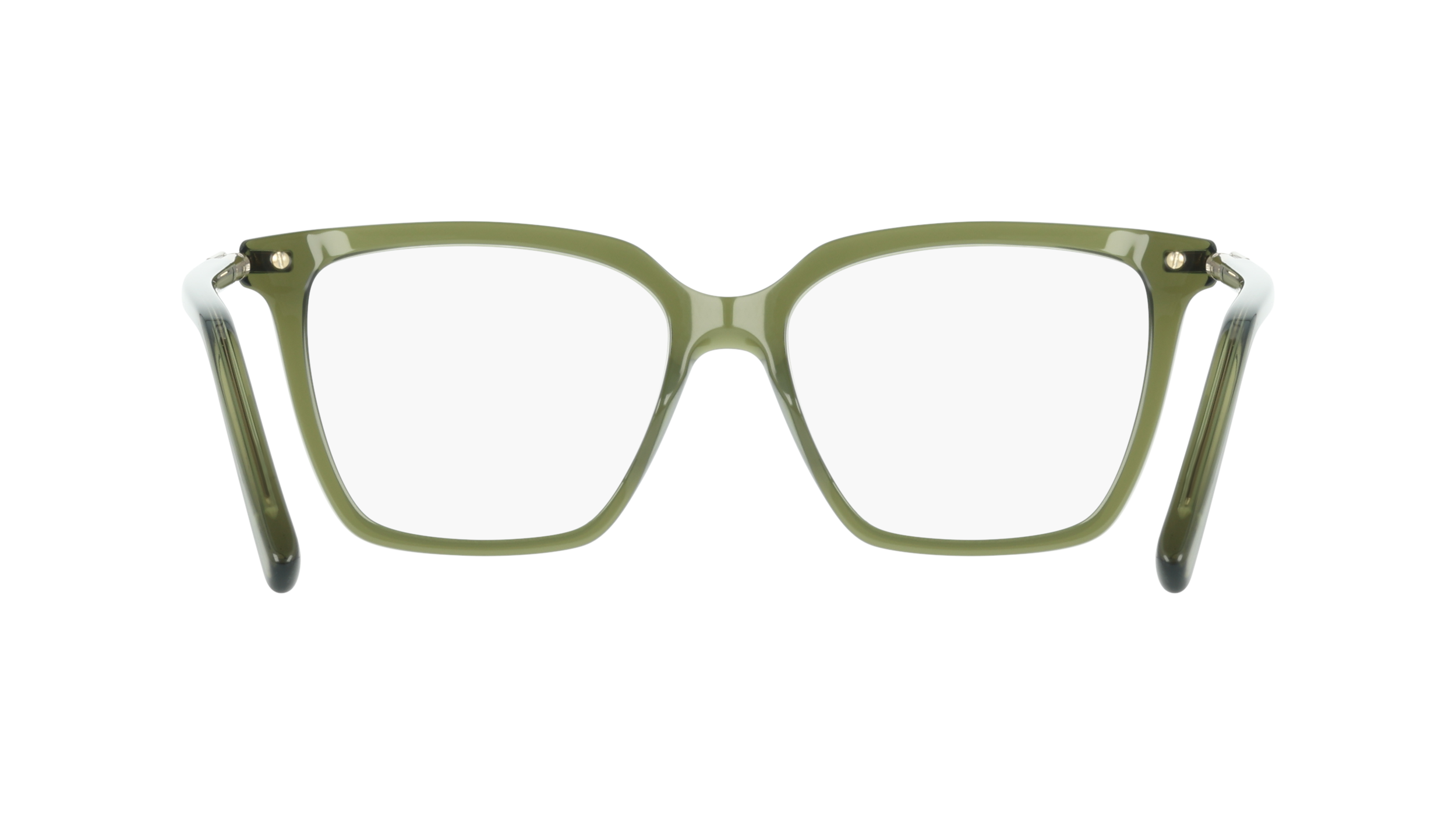 Ferragamo SF3038 317