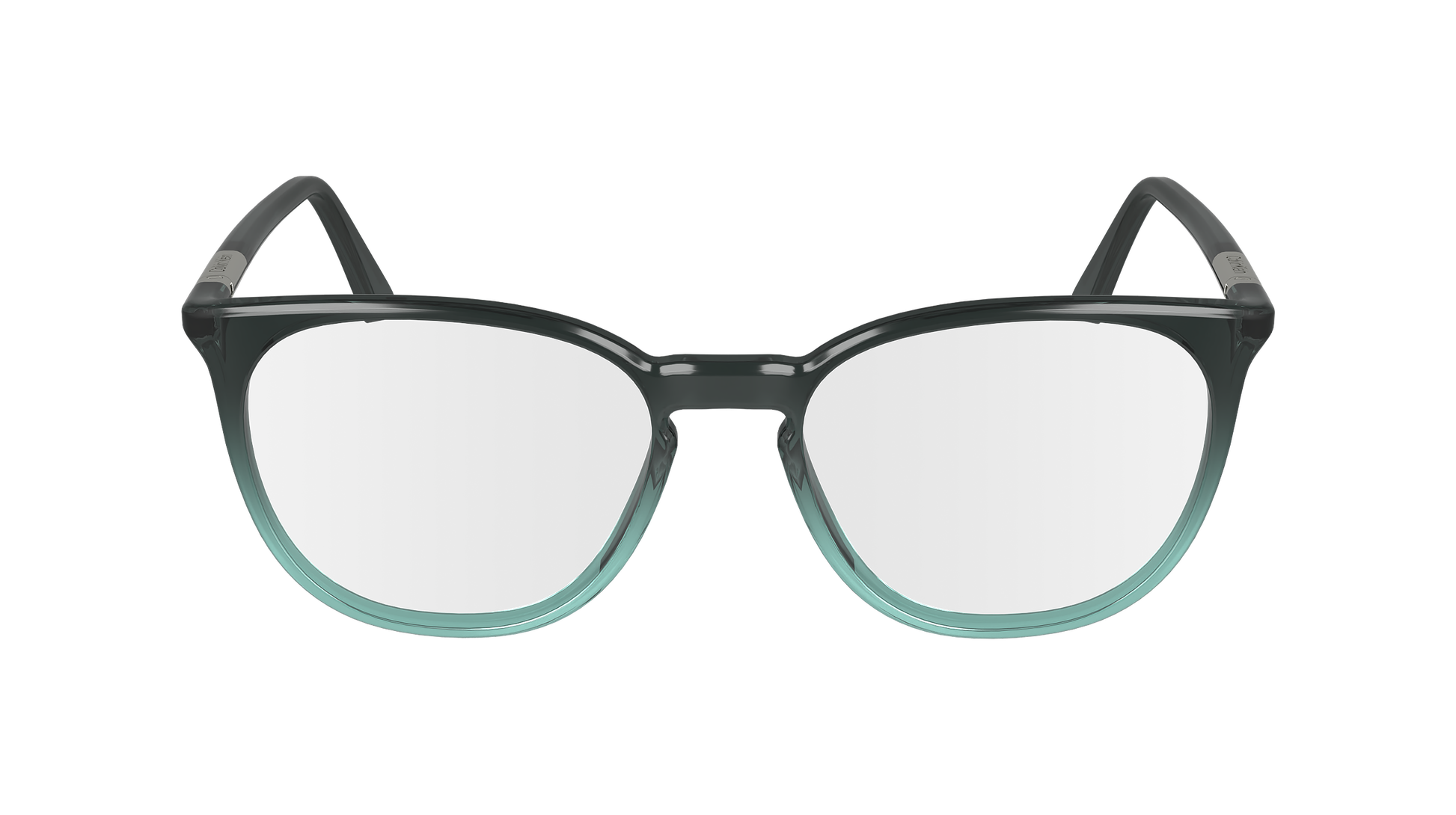 CALVIN KLEIN Eyeglasses CK24513 31 54