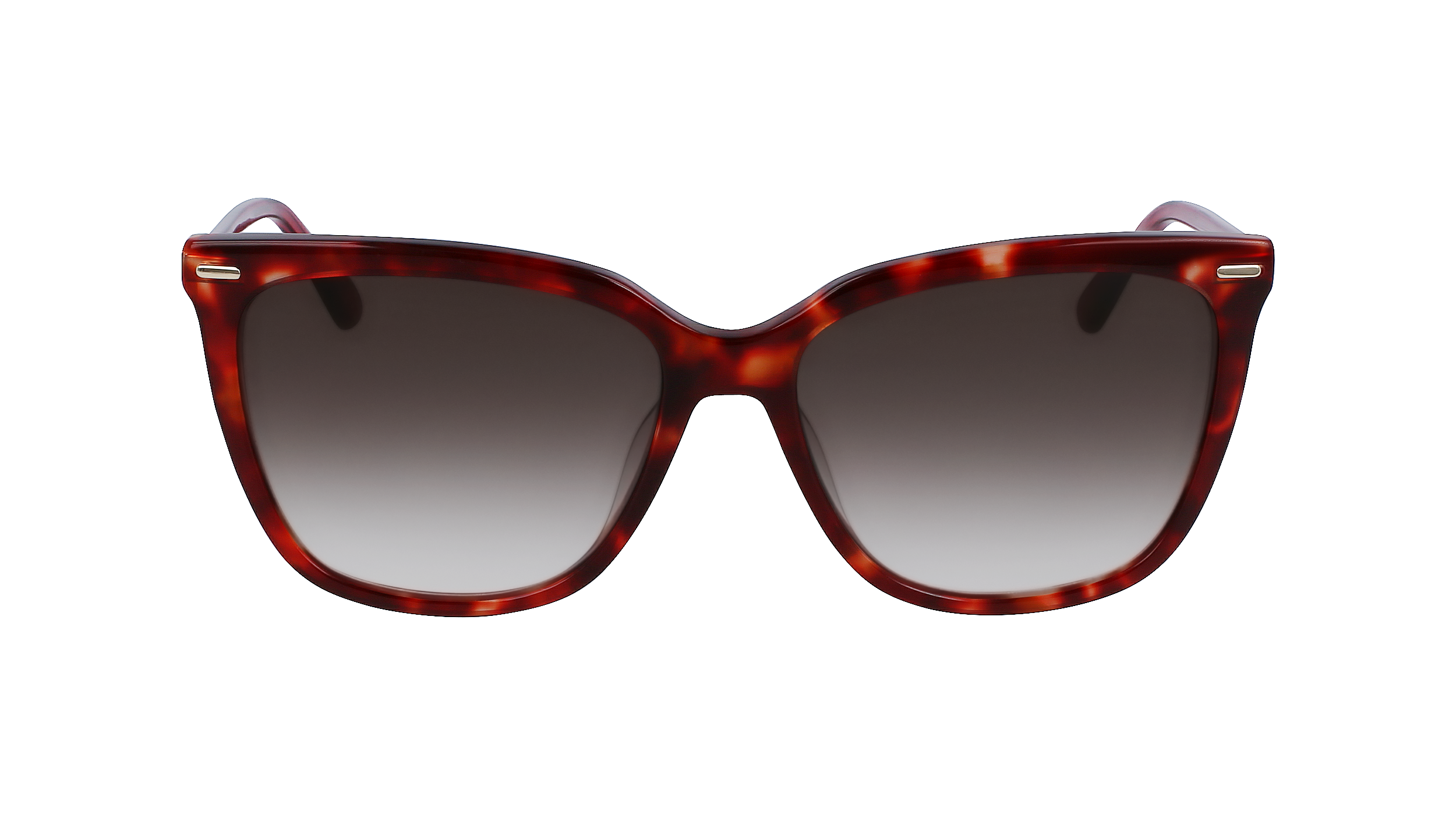 CALVIN KLEIN Sunglasses CK22532S 609 56