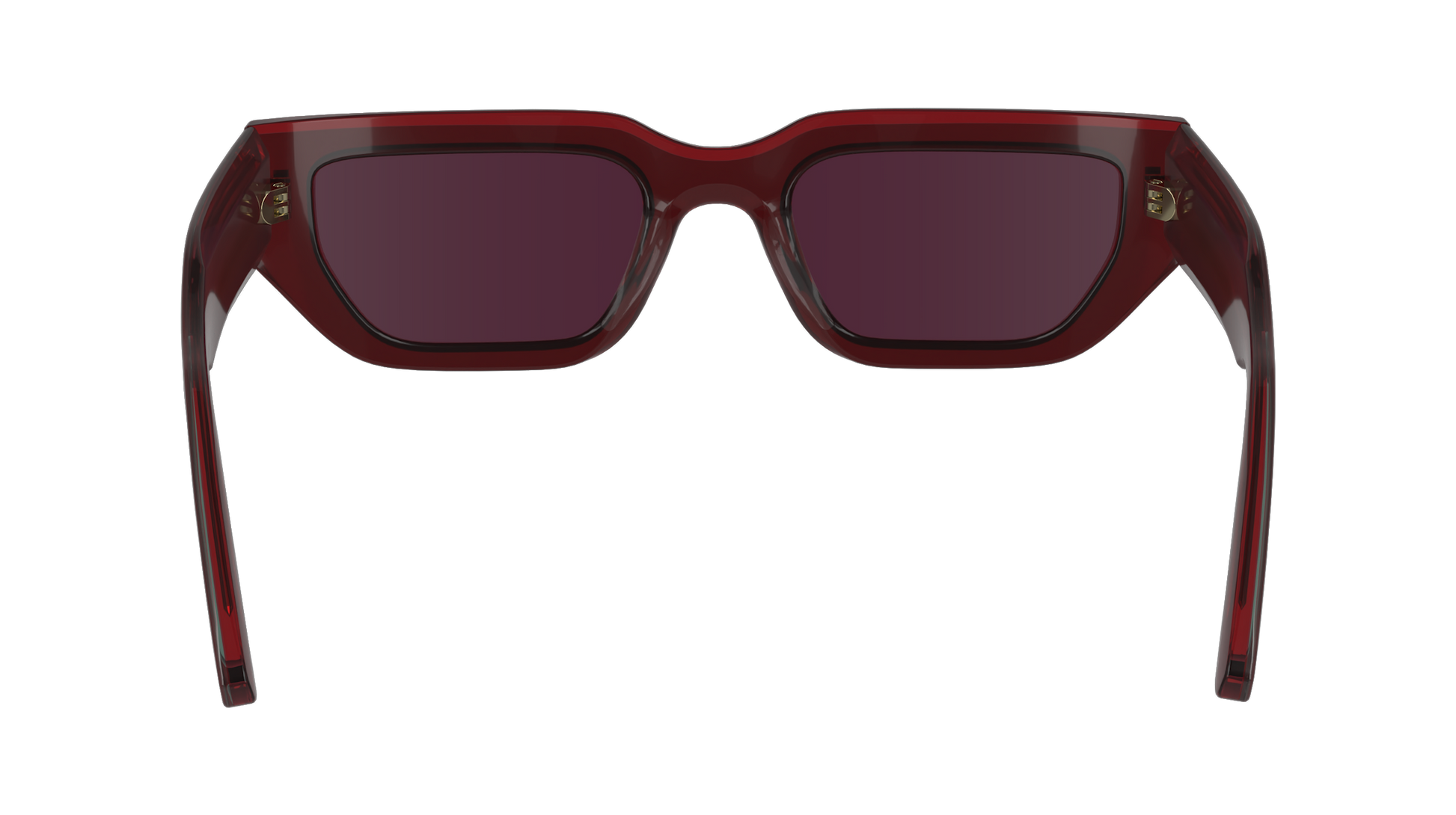 CALVIN KLEIN Sunglasses CK24500S 605 51