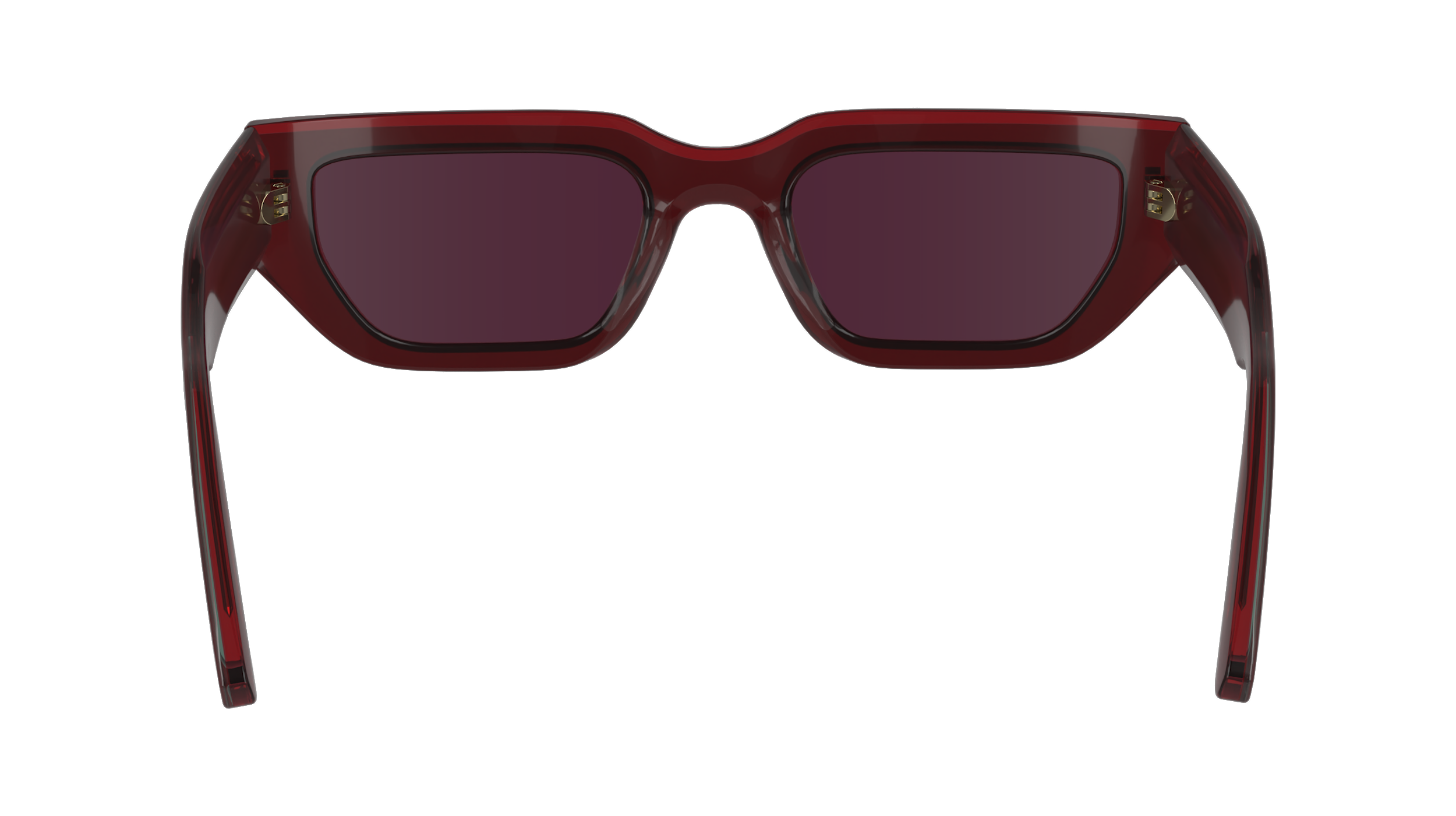 CALVIN KLEIN Sunglasses CK24500S 605 51