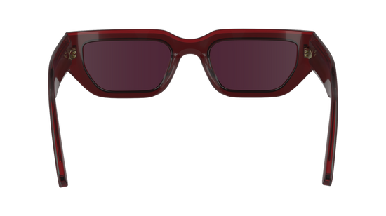 CALVIN KLEIN Sunglasses CK24500S 605 51