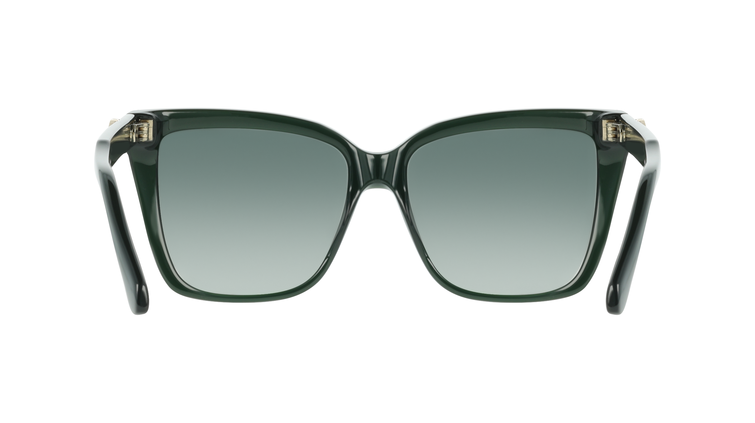 Ferragamo SF2085SE 302