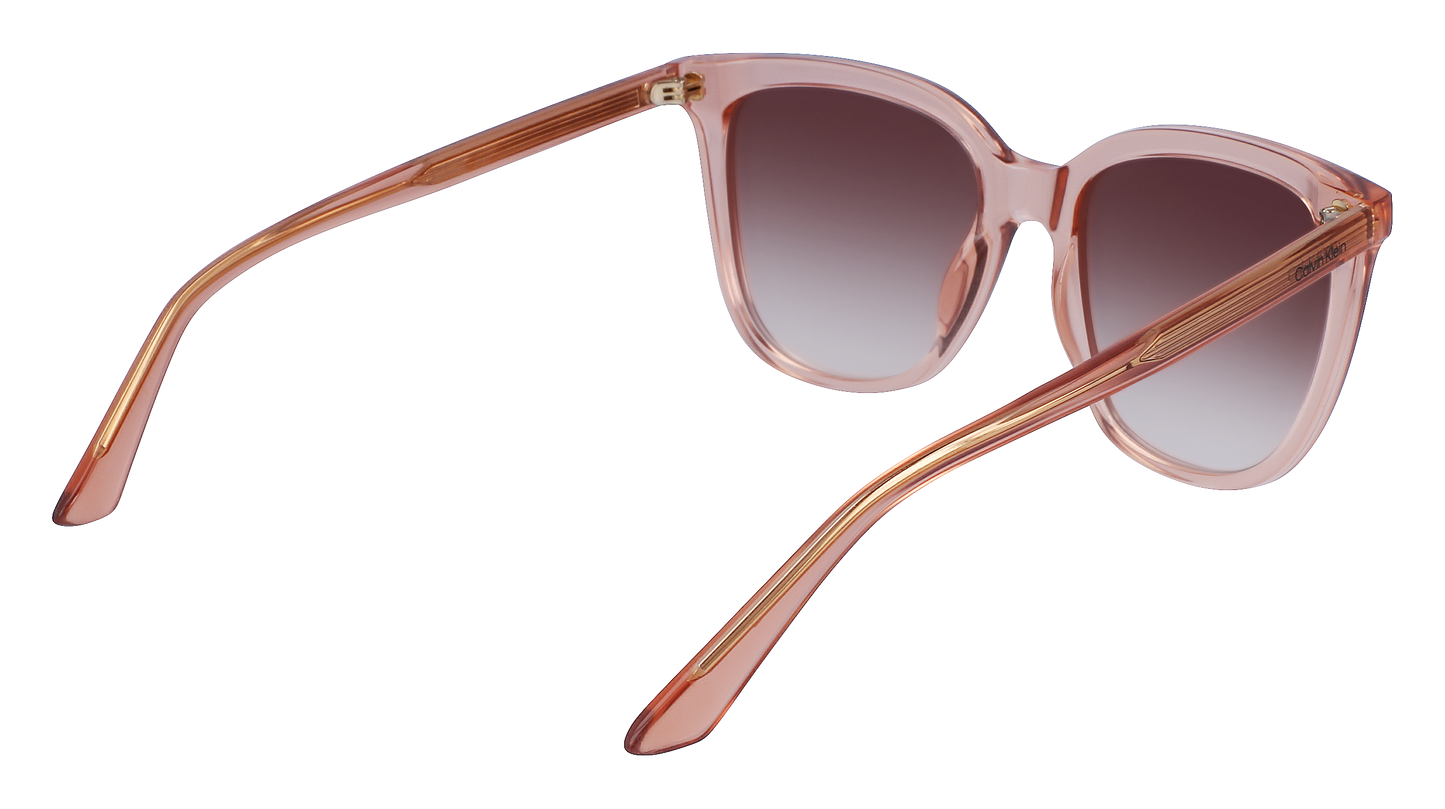 CALVIN KLEIN Sunglasses CK23506S 601 53