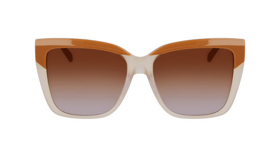 FERRAGAMO Sunglasses SF1102S 261 58