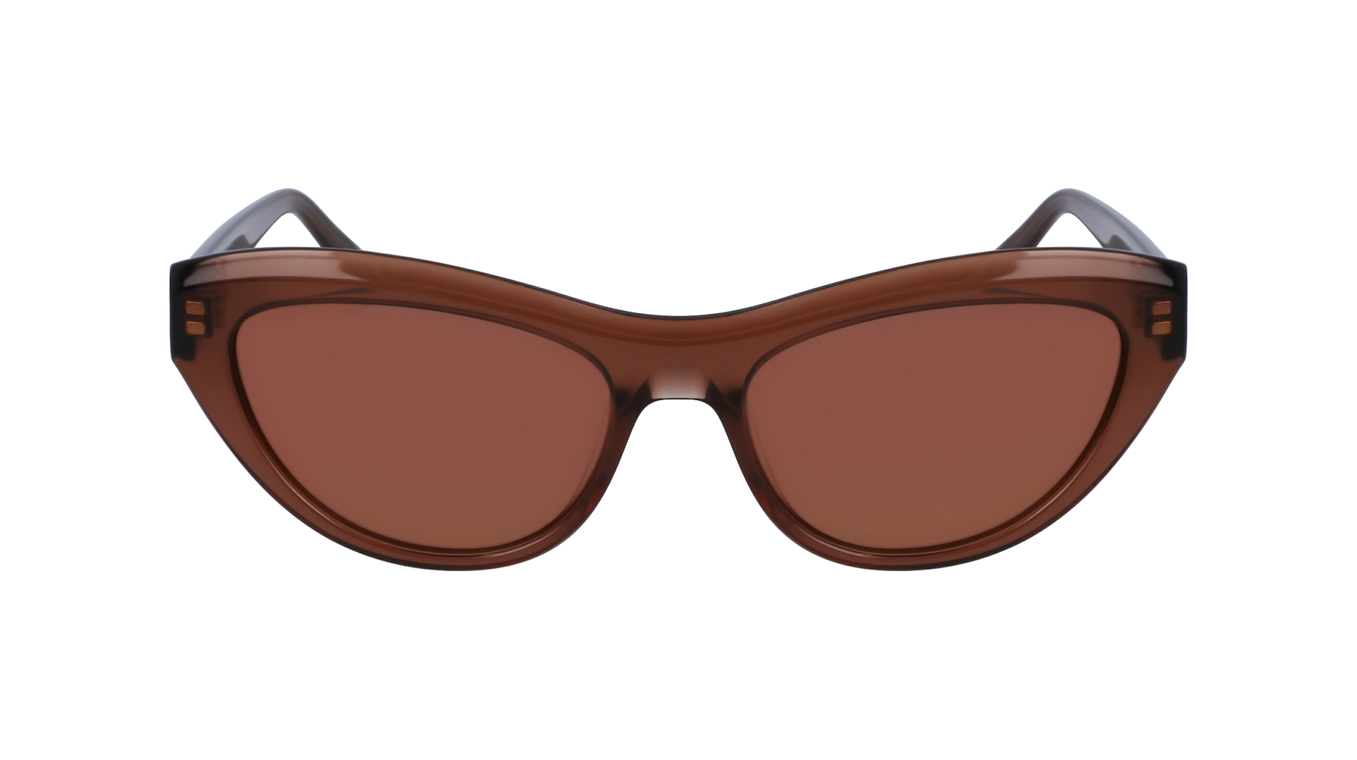FERRAGAMO Sunglasses SF1103S 232 55