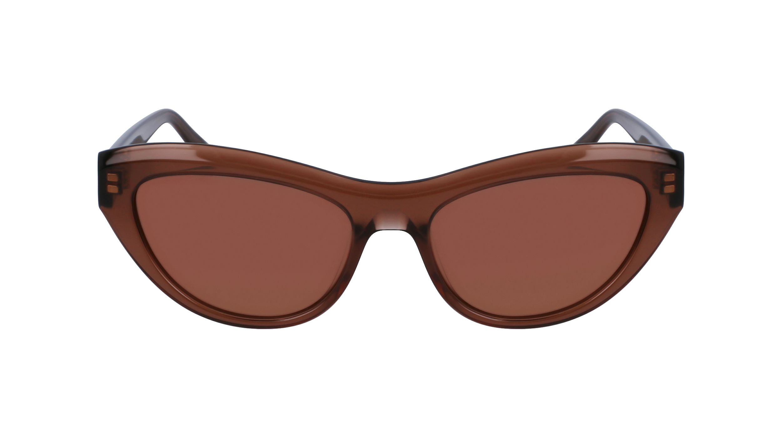 FERRAGAMO Sunglasses SF1103S 232 55