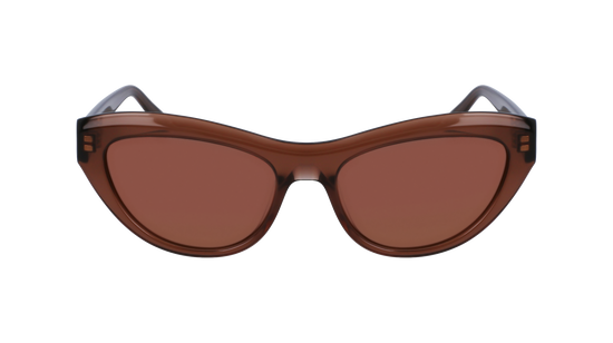 FERRAGAMO Sunglasses SF1103S 232 55