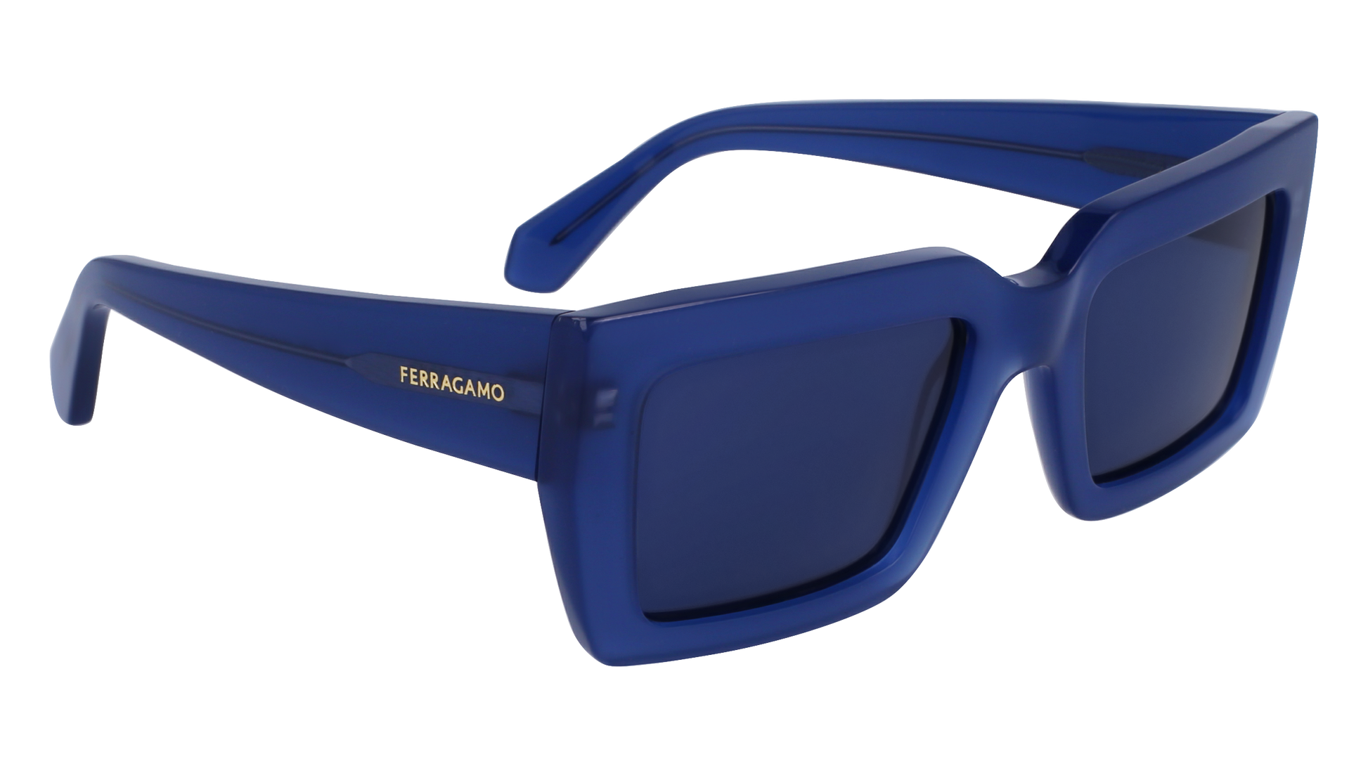 FERRAGAMO Sunglasses SF1108S 423 54