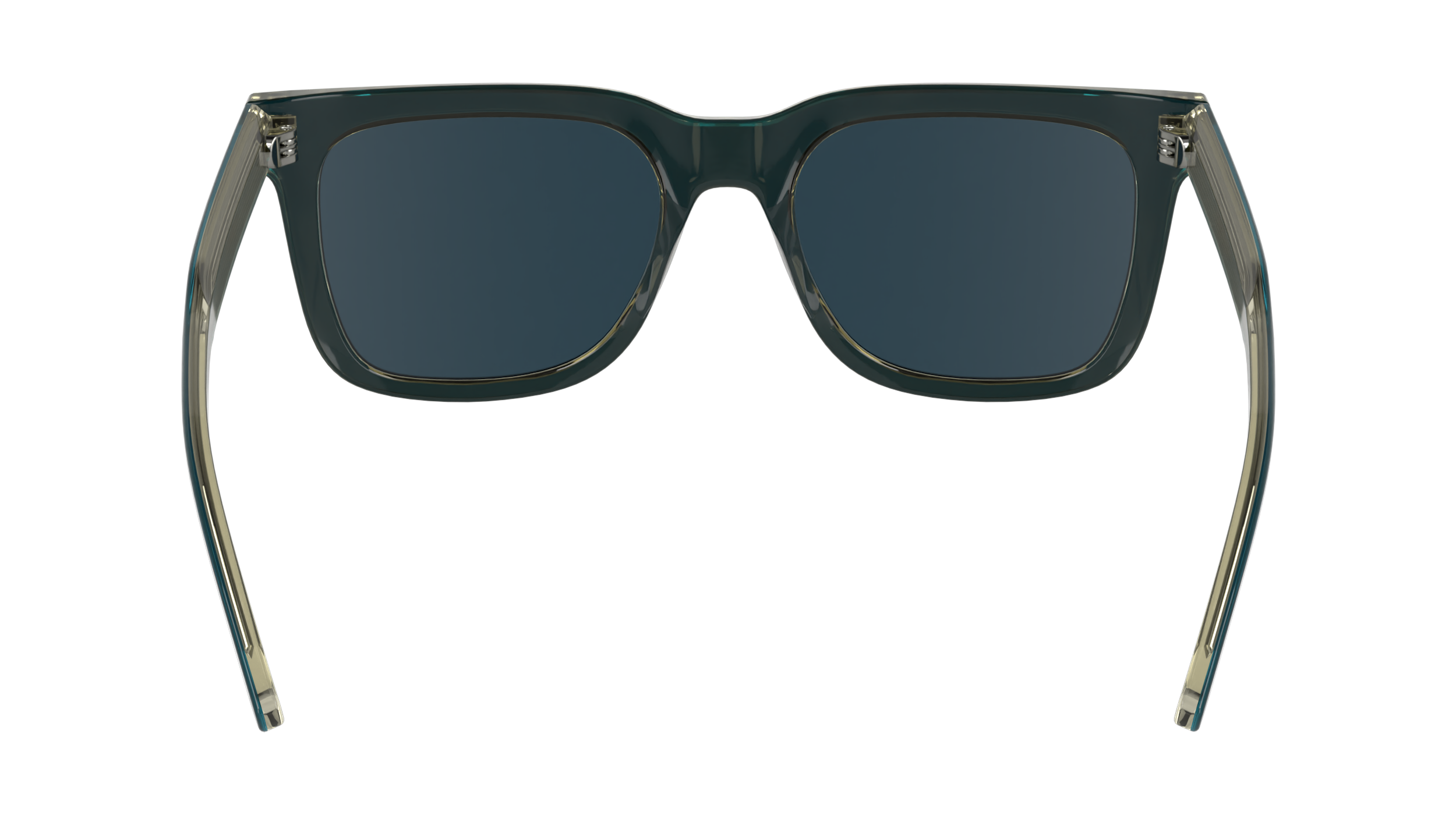 CALVIN KLEIN Sunglasses CK24536S 434 53