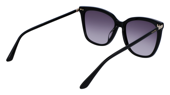 CALVIN KLEIN Sunglasses CK22532S 1 56