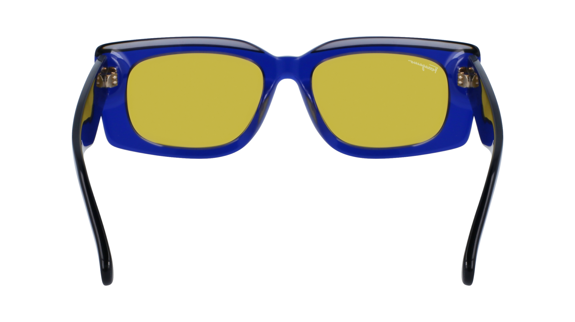 FERRAGAMO Sunglasses SF1079S 435 54