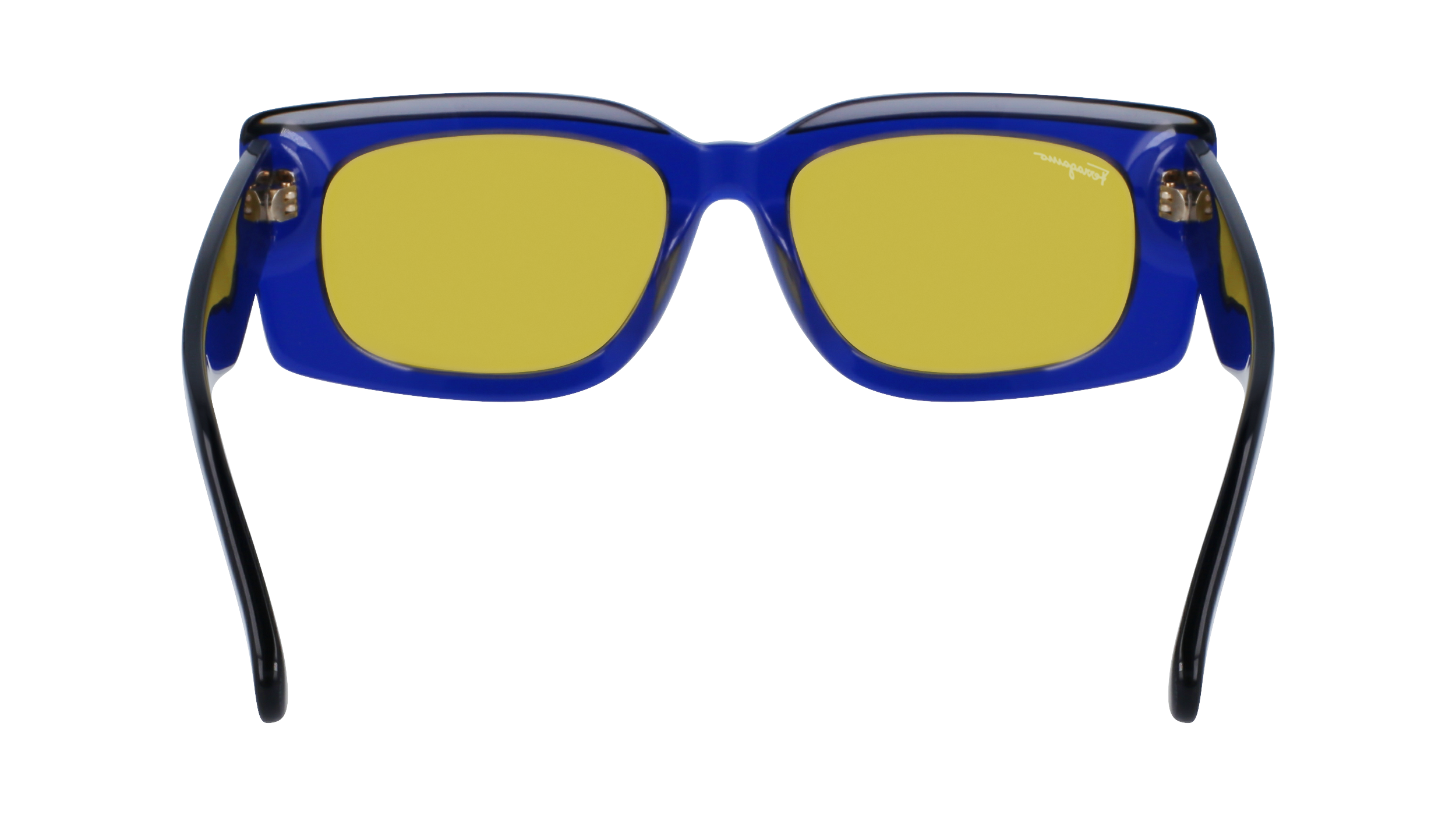 FERRAGAMO Sunglasses SF1079S 435 54