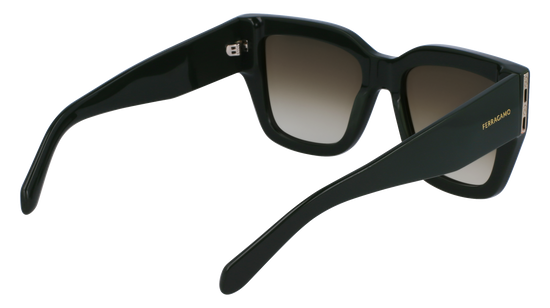 FERRAGAMO Sunglasses SF1104S 302 55