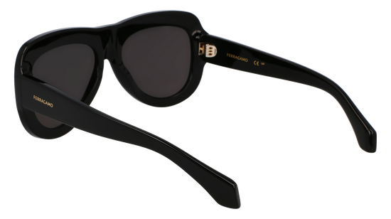 FERRAGAMO Sunglasses SF2029SE 1 57