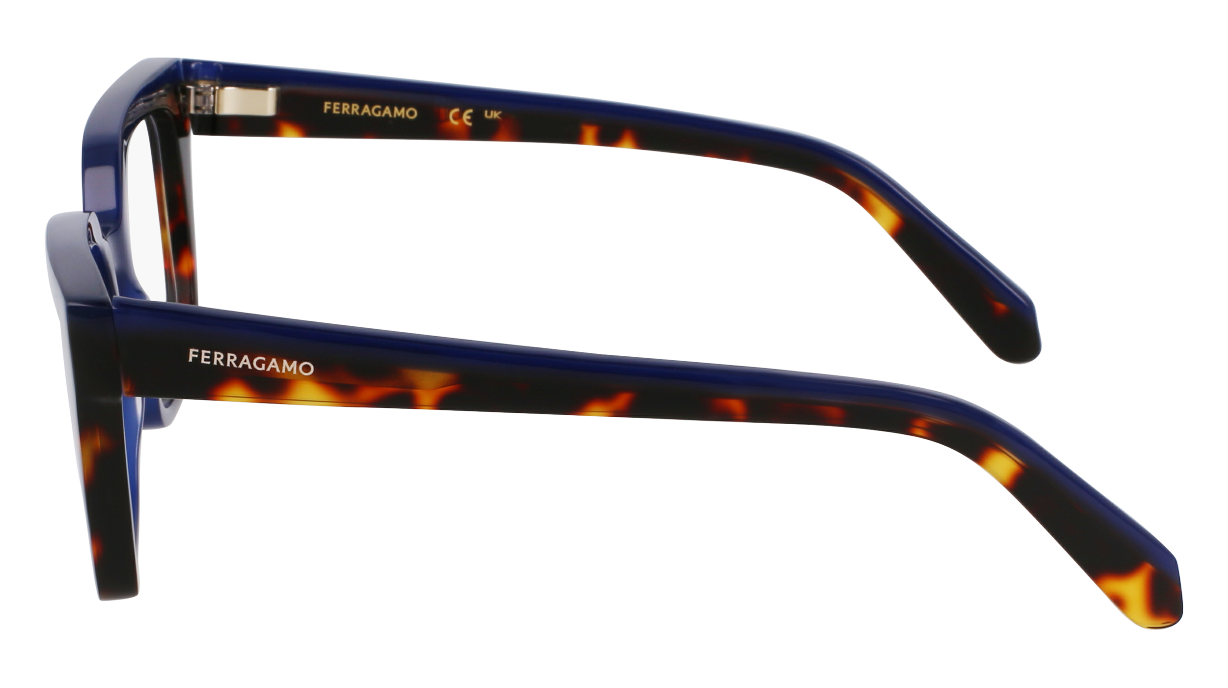 FERRAGAMO Eyeglasses SF3010 424 52