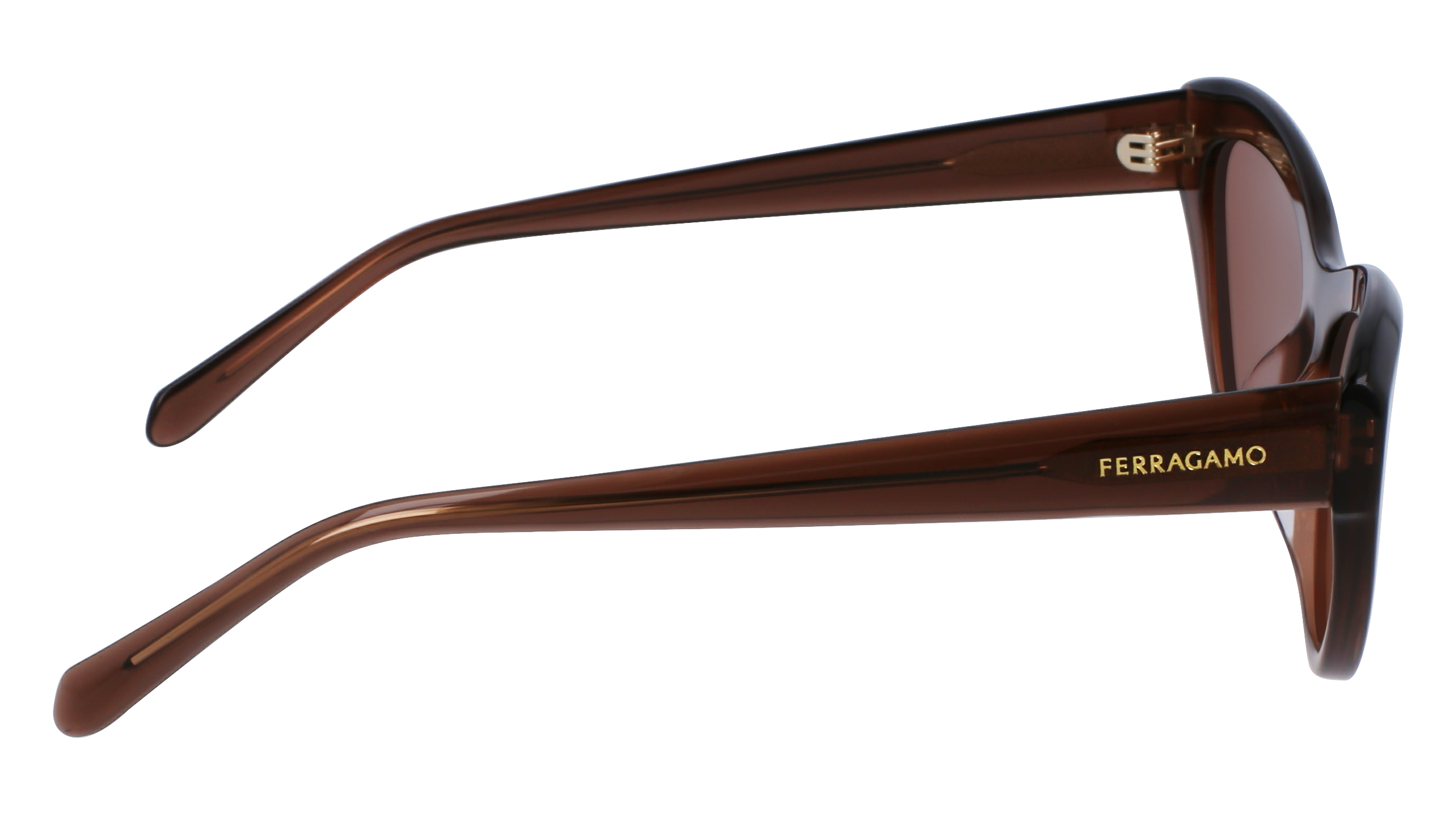 FERRAGAMO Sunglasses SF1103S 232 55