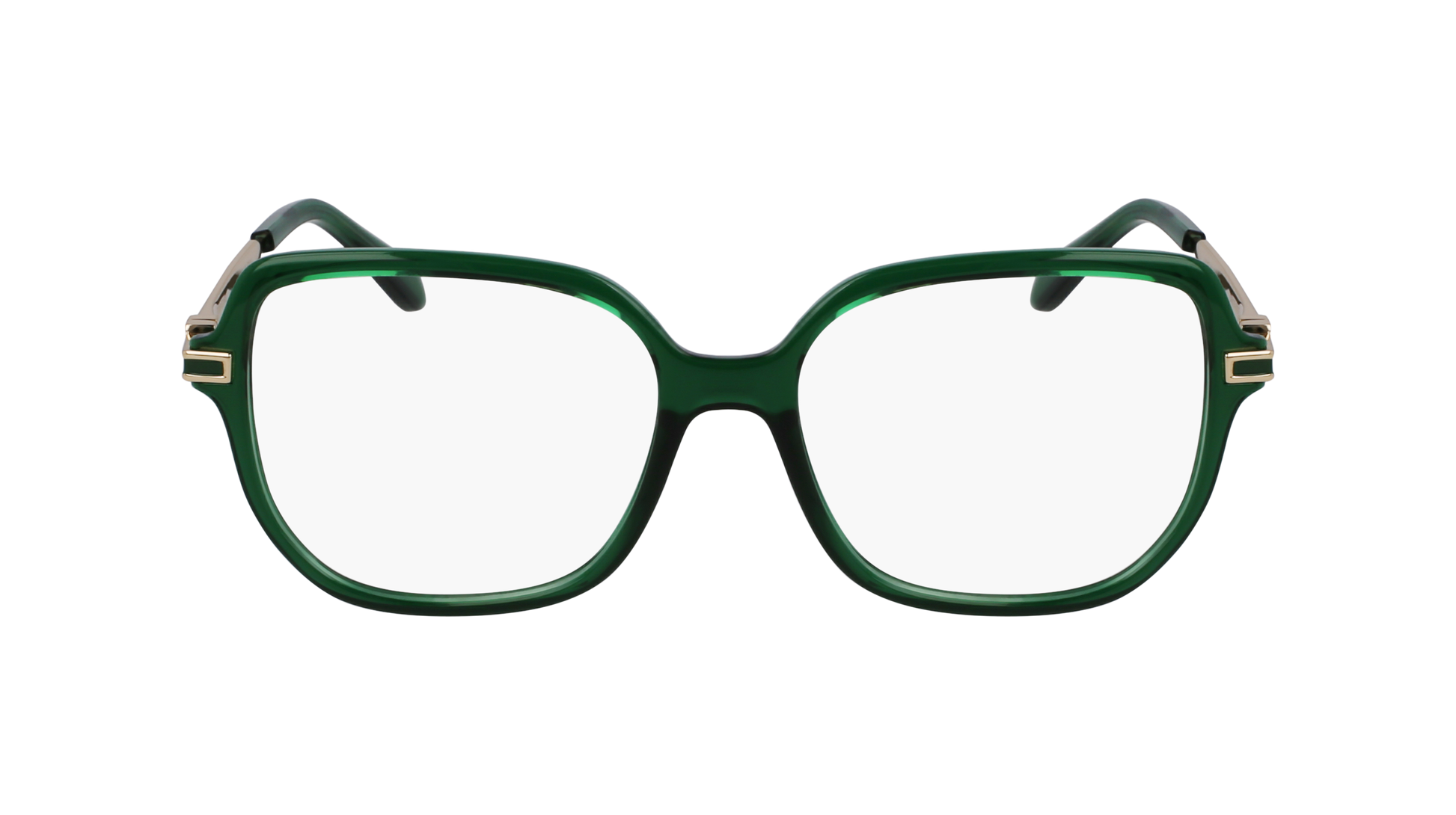 FERRAGAMO Eyeglasses SF3012 317 53