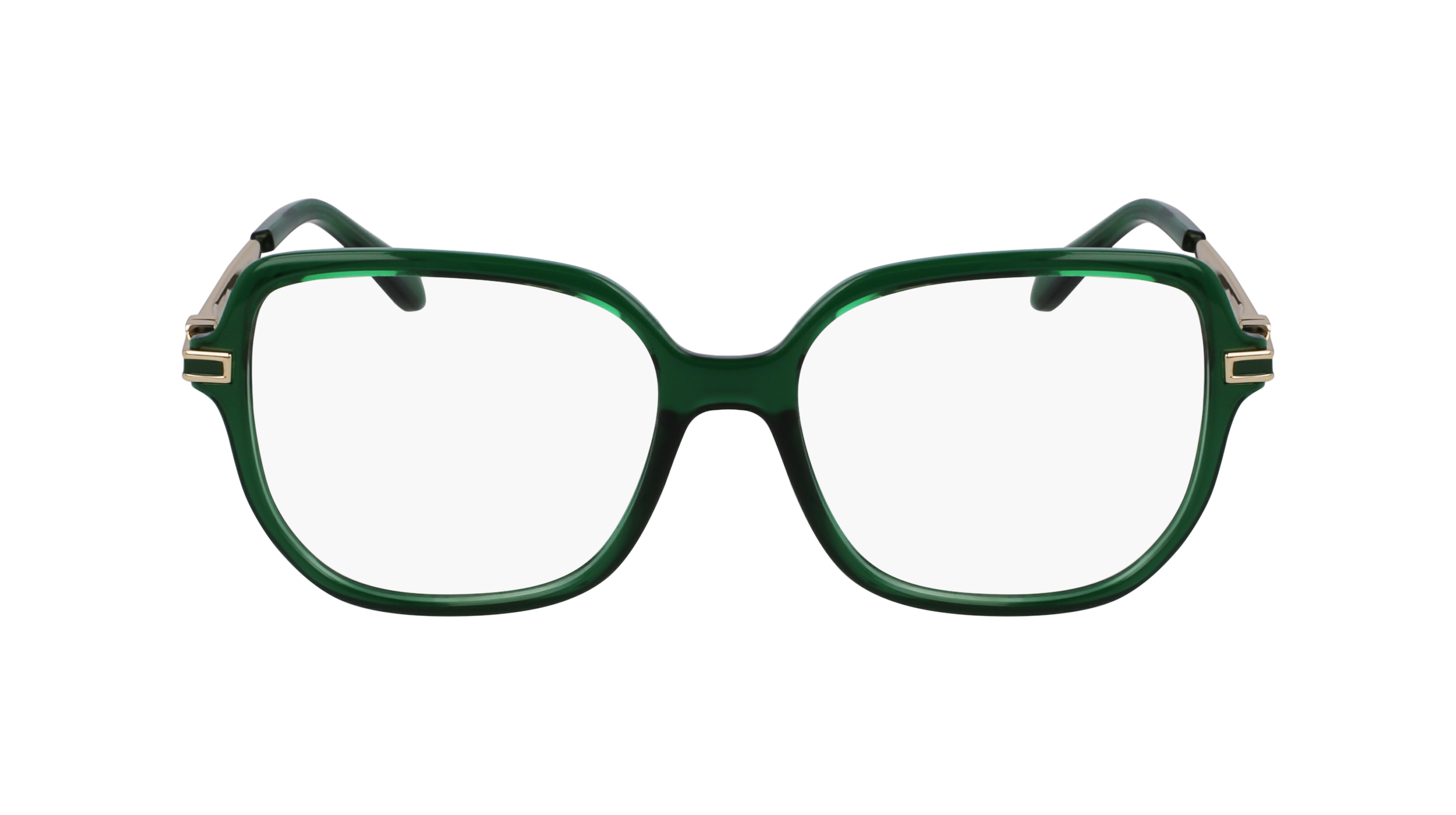 FERRAGAMO Eyeglasses SF3012 317 53